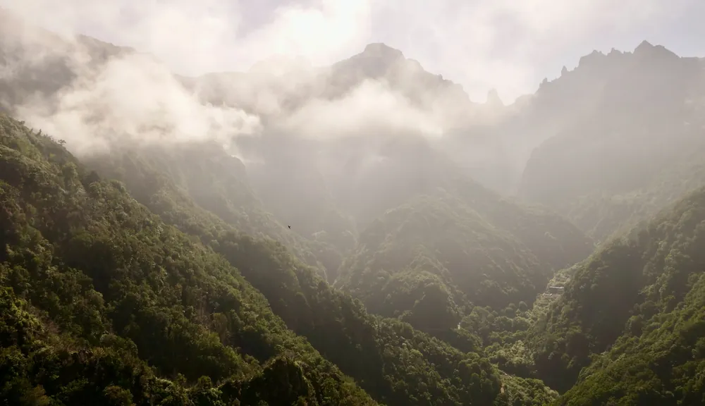 Lone bird flying through misty mountain peaks in Madeira, Portugal