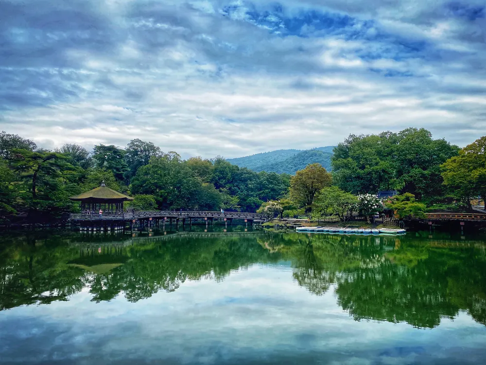 Reflections at Sagi Pond