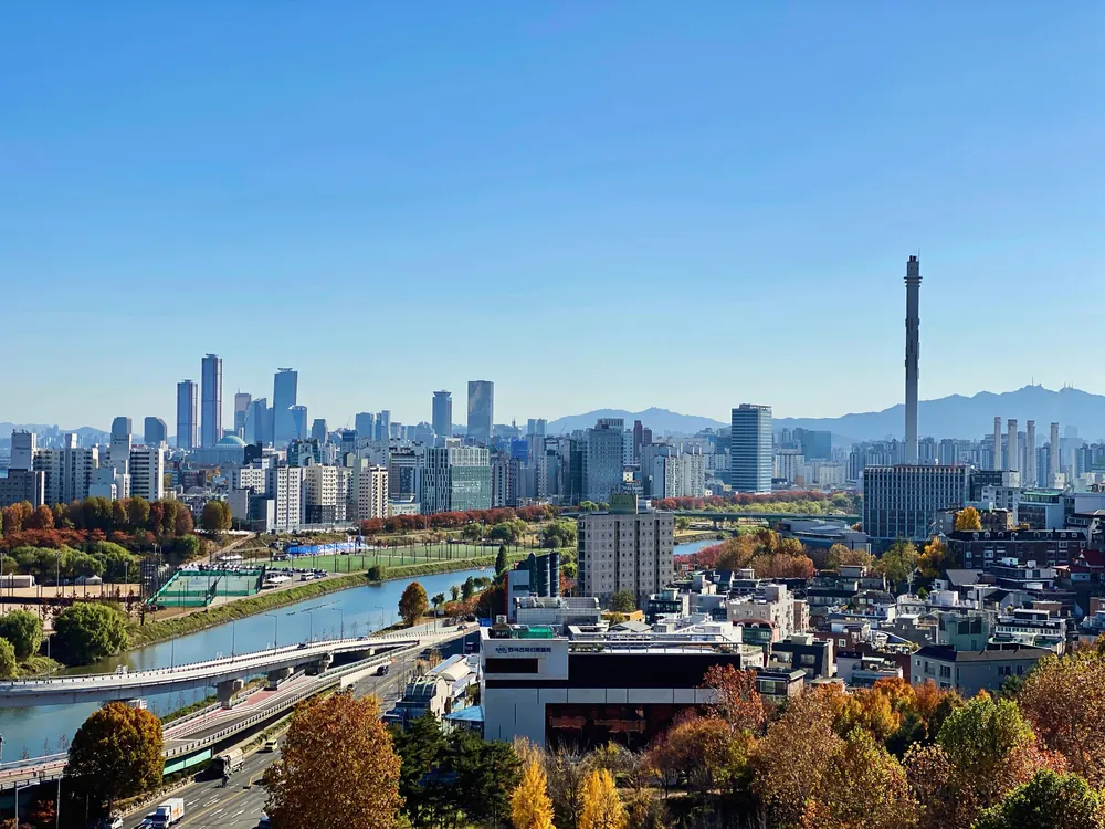 Seoul skyline viewed through autumn foliage